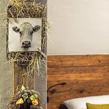 Проживание в семье Girlinggut Schlafen Starten Salzburg Эликсхаузен