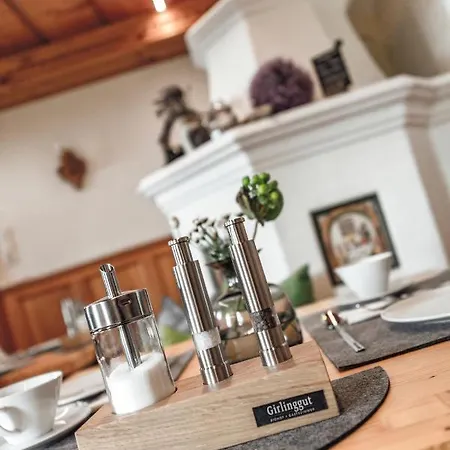 Girlinggut Schlafen Starten Salzburg ホームステイ エリックスハウゼン