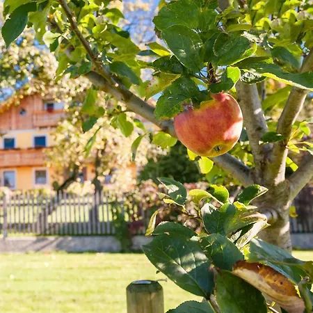 Pansiyon Girlinggut Schlafen Starten Salzburg Elixhausen